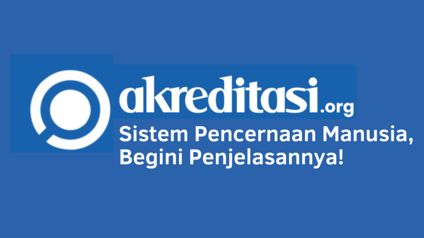 Sistem Pencernaan Manusia