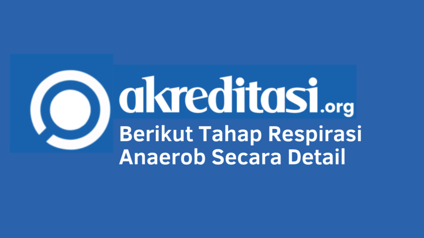 Tahap Respirasi Anaerob